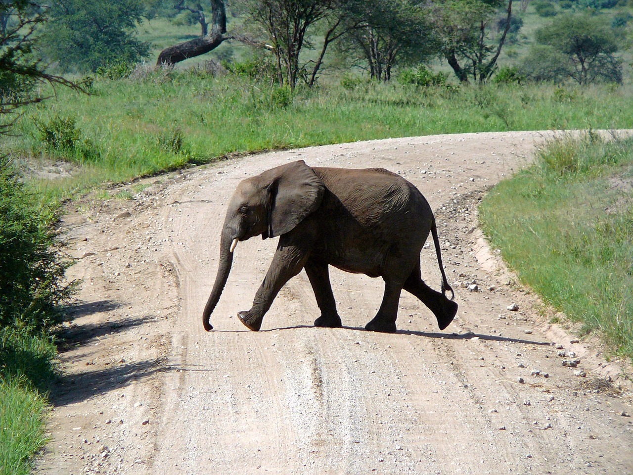Inspiring travel vision