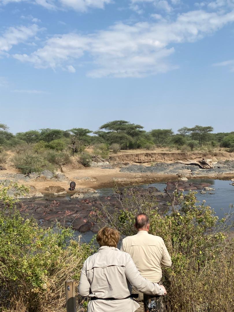 Safari photo