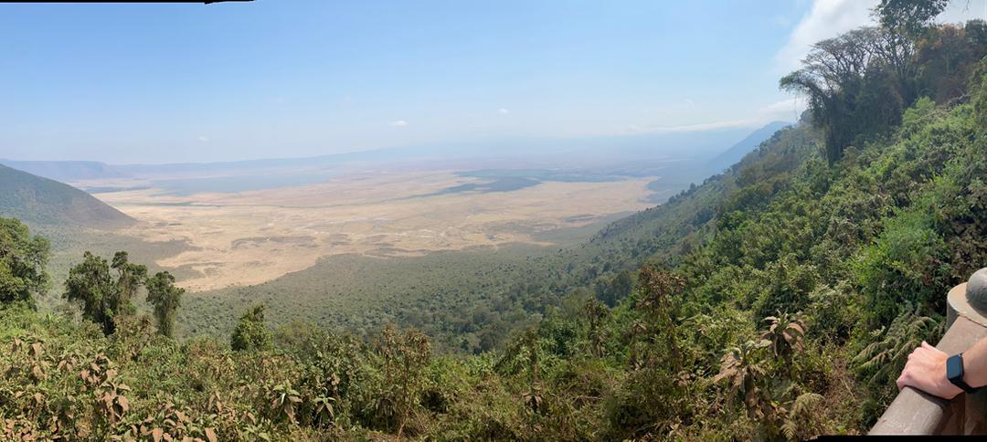 Safari photo