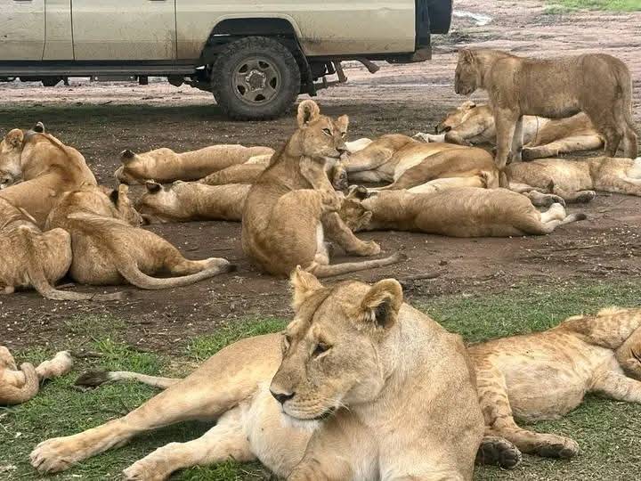 Serengeti National Park