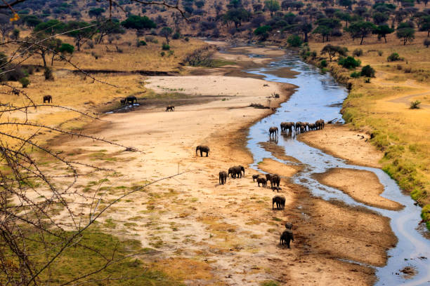 6 Days / 5 Nights Lodge Safari – Tarangire, Serengeti, Ngorongoro & Lake Eyasi