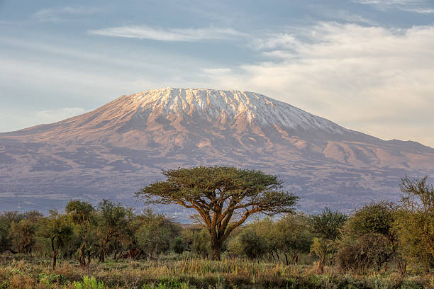 6DAYS 5NIGHTS MOUNT KILIMANJARO CLIMBING THROUGH MACHAME ROUTE.