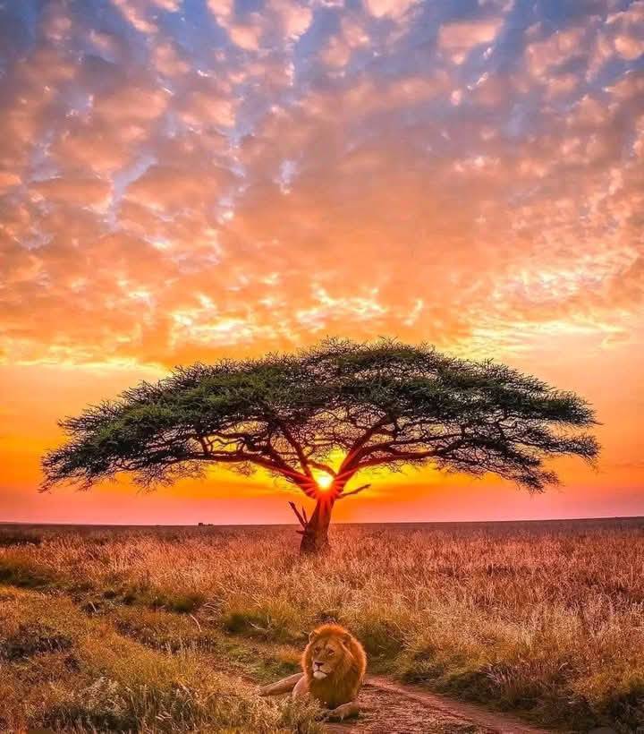 Serengeti National Park