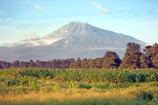 4 Days 3 Nights Mount Meru Climbing.