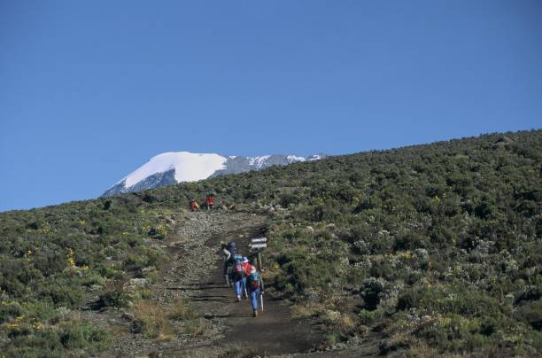 Trekking photo