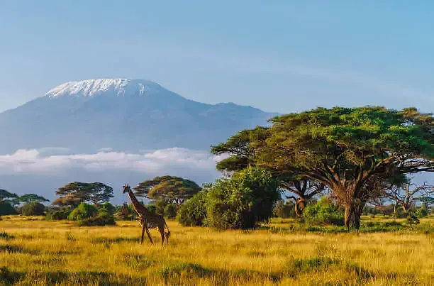 MOUNT KILIMANJARO CLIMBING THROUGH MACHAME ROUTE.