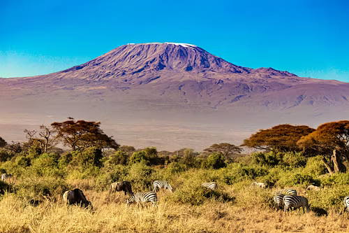 Mount Kilimanjaro Climb