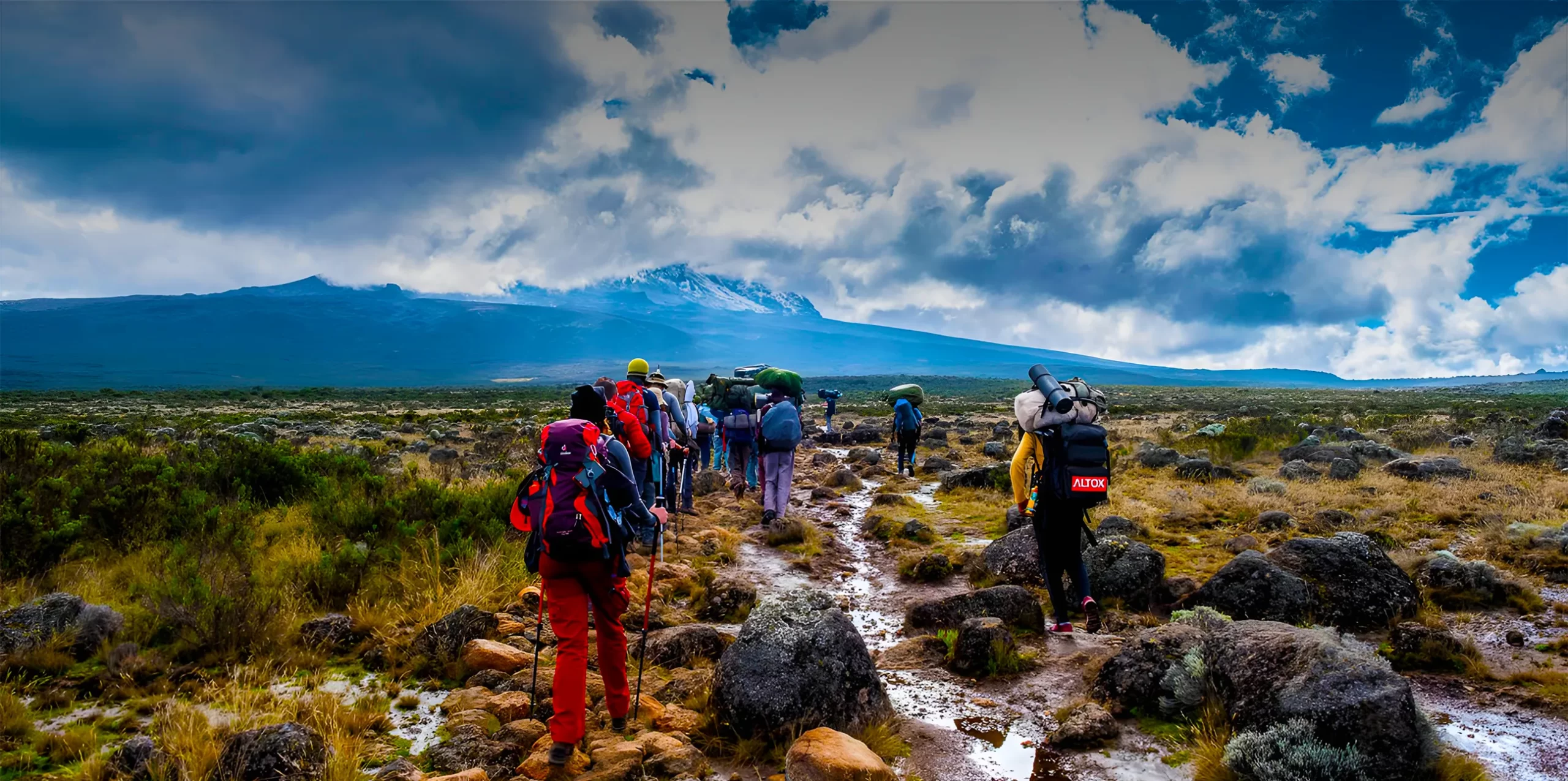 Mount-Kilimanjaro-Trekking-Lemosho-Route-7-Days-scaled