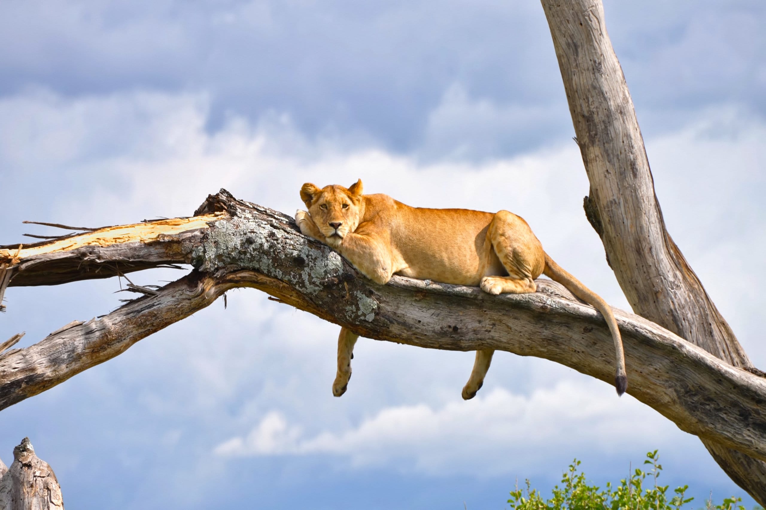 tanzania-lake-manyara-national-park-hdr-1